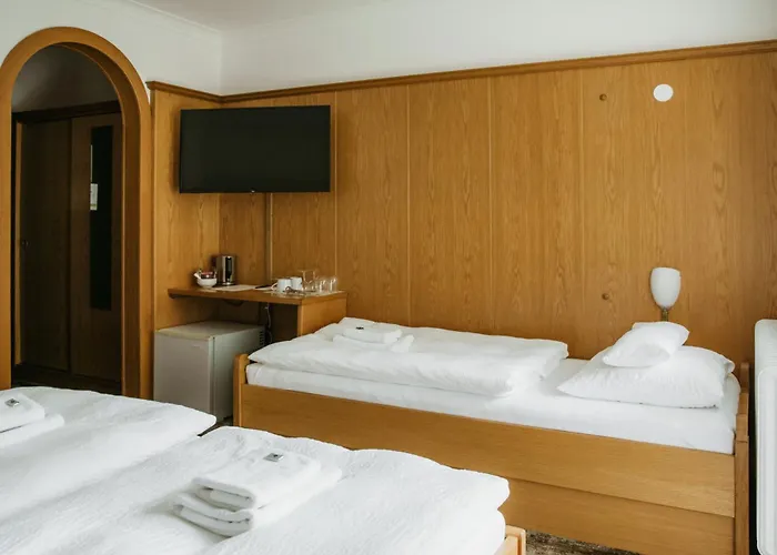 Pension Baranekhof - Unique Location In Nature With Mountain View - Baranek Resorts 3*